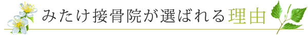 みたけ接骨院が選ばれる理由